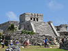 Tulum Express half-day tour